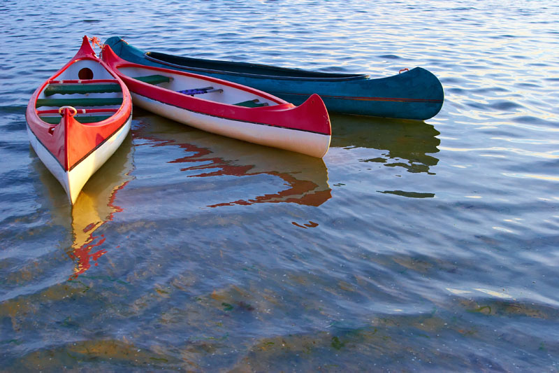 Location de chalet lac du Der, La Bresse